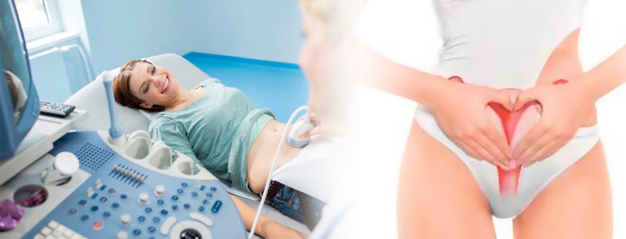 Ced. Prof.: 3049508<br />Ced. Especialidad: 4111374